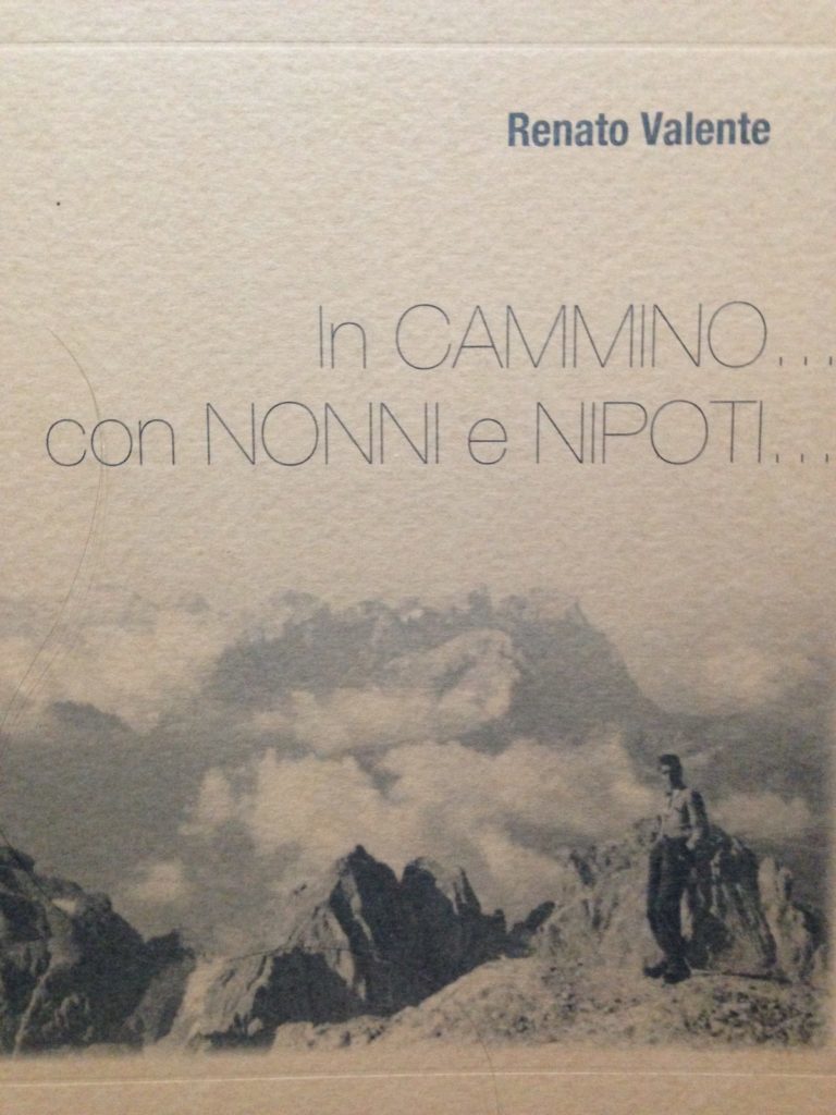 Torino tra sviluppo passato e crisi recente – R. Valente